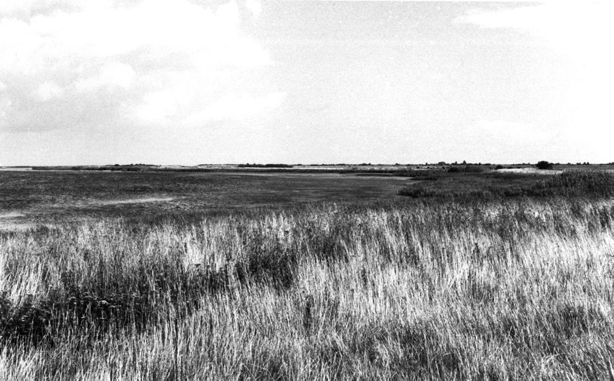 August 1988. Insel Mön. Dänemark.
Schlüsselwörter: 1988;Dänemark;Insel;Mön