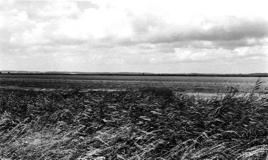 August 1988. Insel Mön. Dänemark.
Schlüsselwörter: 1988;Dänemark;Insel;Mön