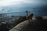 Gibraltar-199811-128.jpg