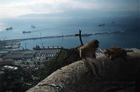 Dateiname=Gibraltar-199811-128.jpg
Dateigröße=142KB
Abmessungen: 880x578
hinzugefügt am: 05. Januar 2016 Gibraltar-199811-128.jpg