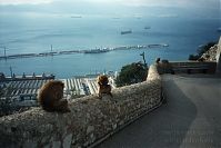 Dateiname=Gibraltar-199811-129.jpg
Dateigröße=177KB
Abmessungen: 880x586
hinzugefügt am: 05. Januar 2016 Gibraltar-199811-129.jpg