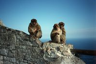 Dateiname=Gibraltar-199811-141.jpg
Dateigröße=180KB
Abmessungen: 880x587
hinzugefügt am: 05. Januar 2016 Gibraltar-199811-141.jpg