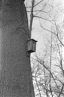 Niederlande-Den-Haag-1981-113.jpg