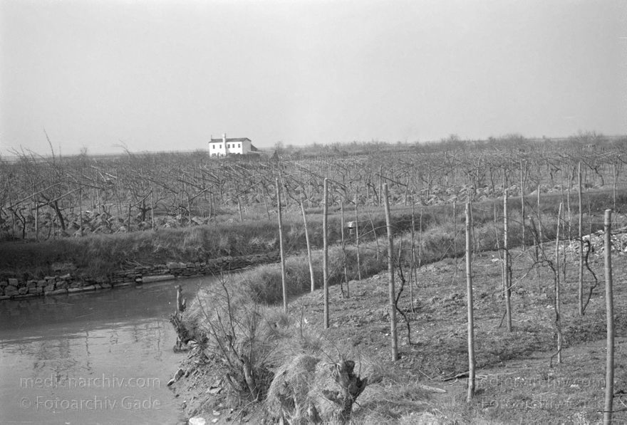 1950er. Italien. Provinz Venedig. Region Venetien. Torcello
1950er. Italien. Provinz Venedig. Region Venetien - Italia. Venezia - Italy. Venice. Lagune. Torcello
Schlüsselwörter: 1950er;Italia;Italien;Italy;Torcello;Venedig;Venetien;Venezia;Venice
