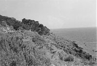 Italy-LaSpezia-1931-59.jpg