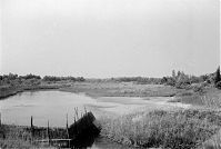 Italy-Grado-Aquileia-01-12.jpg