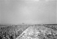 Italy-Grado-Aquileia-01-13.jpg