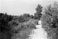 Italy-Grado-Aquileia-01-17.jpg