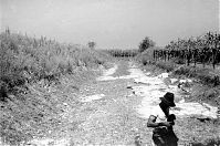 Italy-Grado-Aquileia-02-03.jpg