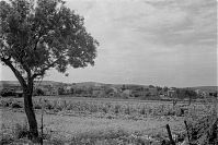 Italy-Grado-Aquileia-02-16.jpg