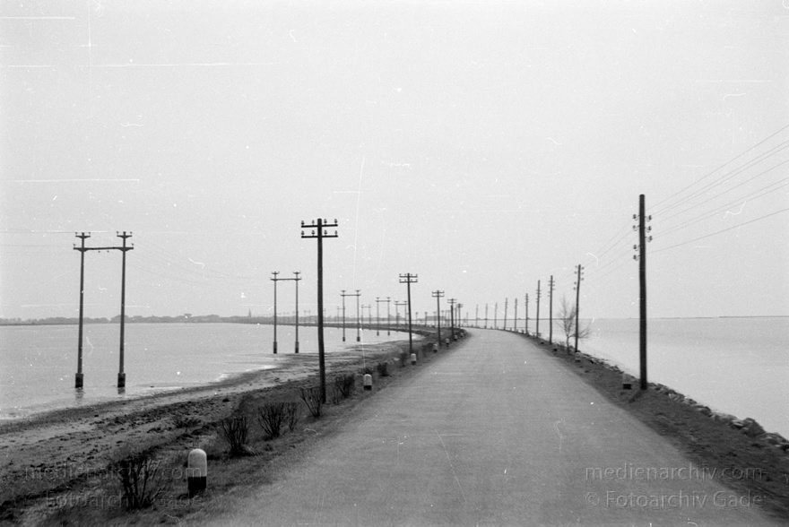 1950er. Italien. Provinz: Görz Region: Friaul-Julisch Venetien. Grado.
1950er. Italien. Provinz: Görz Region: Friaul-Julisch Venetien. Grado.
Schlüsselwörter: 1950er;Friaul-Julisch Venetien;Friuli-Venezia Giulia;Gorizia;Grado;Görz;Italia;Italien;Italy