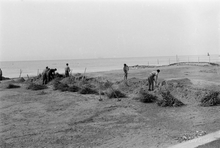 1950er. Italien. Provinz: Görz Region: Friaul-Julisch Venetien. Grado.
1950er. Italien. Provinz: Görz Region: Friaul-Julisch Venetien. Grado.
Schlüsselwörter: 1950er;Friaul-Julisch Venetien;Friuli-Venezia Giulia;Gorizia;Grado;Görz;Italia;Italien;Italy