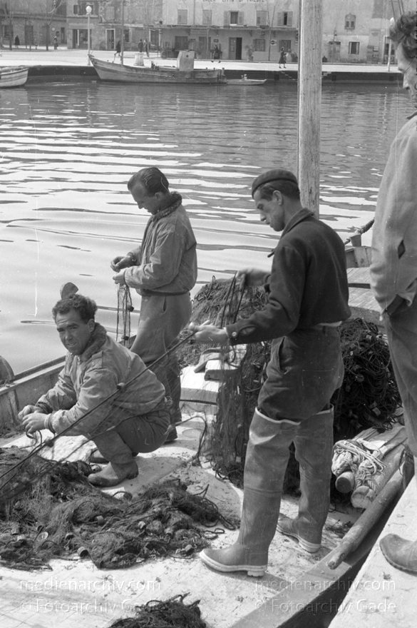 1950er. Italien. Provinz: Görz Region: Friaul-Julisch Venetien. Grado.
1950er. Italien. Provinz: Görz Region: Friaul-Julisch Venetien. Grado.
Schlüsselwörter: 1950er;Boote;Fischerboote;Friaul-Julisch Venetien;Friuli-Venezia Giulia;Gorizia;Grado;Görz;Italia;Italien;Italy