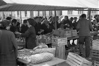 Dateiname=Italy-Grado-1950er-02-34.jpg
Dateigröße=160KB
Abmessungen: 880x590
hinzugefügt am: 05. Januar 2016 Italy-Grado-1950er-02-34.jpg