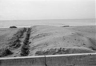 Italy-Grado-1950er-05-01.jpg