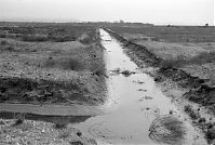 Italy-Grado-1950er-05-14.jpg