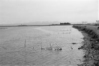 Italy-Grado-1950er-05-19.jpg