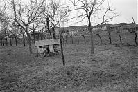 Italy-Grado-1950er-06-07.jpg