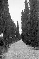 Italy-Grado-1950er-06-18.jpg