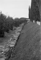Italy-Grado-1950er-06-20.jpg