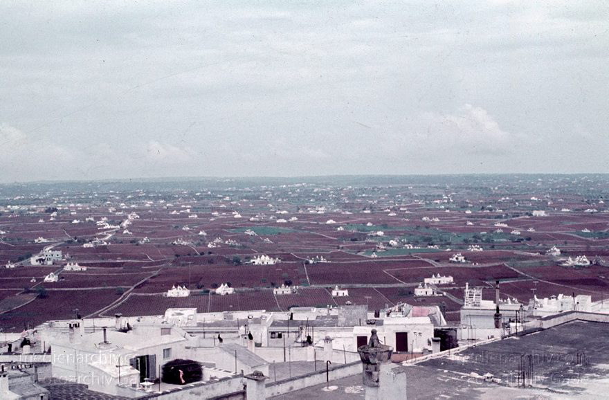 um 1960. Italien. Apulien. Tarent. Martina Franca
um 1960. Italien. Apulien. Tarent. Martina Franca. Italy. Italia
Schlüsselwörter: 1960;Apulien;Italia;Italien;Italy;Martina Franca;Tarent