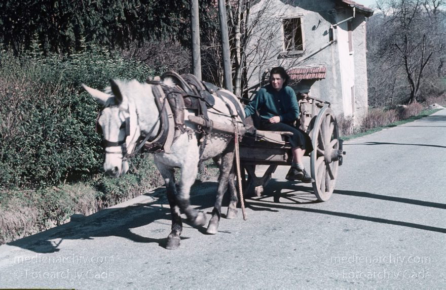 um 1965. Italien. Stresa
um 1965. Italien. Piemont. Verbano-Cusio-Ossola. Stresa.  	Stresiani. Italy. Italia- Frau auf Karren mit Pferd. Kutsche
Schlüsselwörter: 1965;Italia;Italien;Italy;Karren;Kutsche;Küste;Mittelmeer;Pferd;Piemont;Stresa