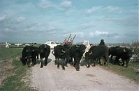 Italy-1960-099.jpg
