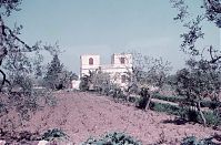 Italy-Del-Monte-01.jpg