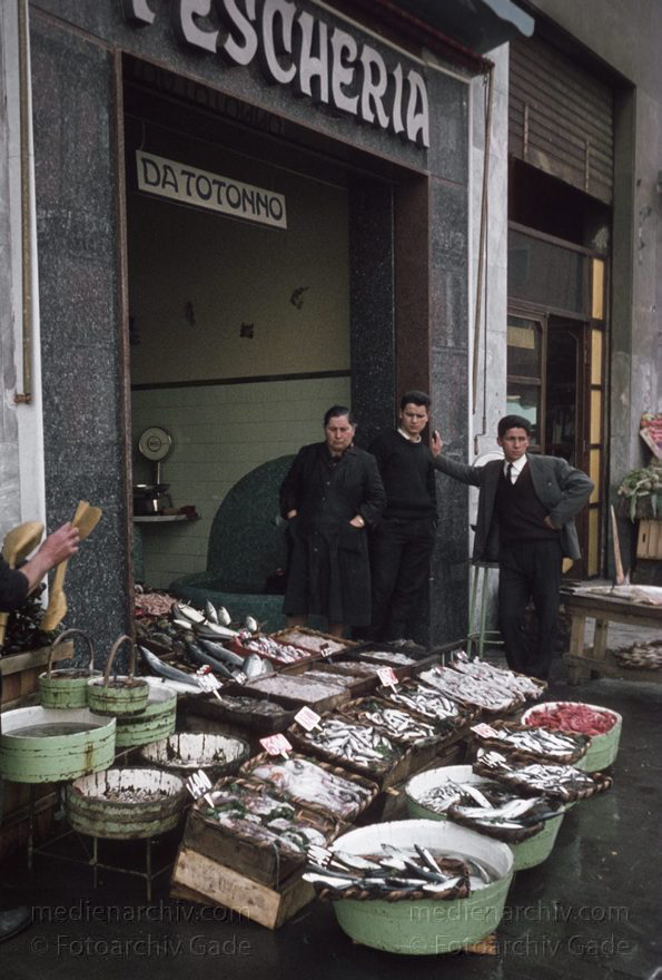 1955. Italien. Neapel. -  Italy. Naples -  Italia. Napoli
1955. Italien. Provinz Neapel. Region Kampanien. Neapel. -  Italy. Naples -  Italia. Campania. Napoli. Fischverkäufer
Schlüsselwörter: 1955;Campania;Fischverkäufer;Italia;Italien;Italy;Kampanien;Naples;Napoli;Neapel