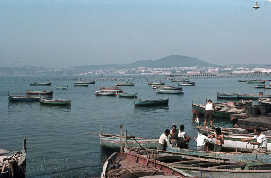 um 1960. Italien. Provinz Neapel. Region Kampanien. Pozzuoli
um 1960. Italien. Provinz Neapel. Region Kampanien. Pozzuoli. - Italy. Italia. Pezzulo. Fischerboote im Mittelmeer
Schlüsselwörter: 1960;Boote;Campania;Fischerboote;Italia;Italien;Italy;Kampanien;Mittelmeer;Pezzulo;Pozzuoli