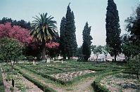 Italy-Rom-1960-21.jpg