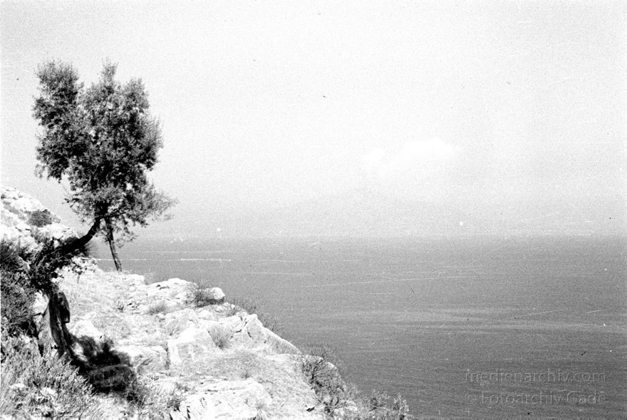 1955. Italien. Neapel. -  Italy. Naples -  Italia. Napoli
1955. Italien. Provinz Neapel. Region Kampanien. Neapel. -  Italy. Naples -  Italia. Campania. Napoli. Golf von Neapel. Mittelmeer. Küste
Schlüsselwörter: 1955;Campania;Golf von Neapel;Italia;Italien;Italy;Kampanien;Küste;Mittelmeer;Naples;Napoli;Neapel