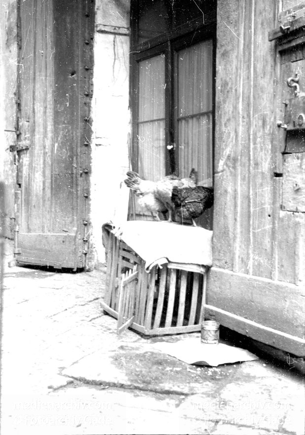 1955. Italien. Neapel. -  Italy. Naples -  Italia. Napoli
1955. Italien. Provinz Neapel. Region Kampanien. Neapel. -  Italy. Naples -  Italia. Campania. Napoli
Schlüsselwörter: 1955;Campania;Italia;Italien;Italy;Kampanien;Naples;Napoli;Neapel