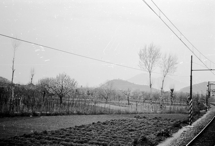 1955. Italien. Neapel. -  Italy. Naples -  Italia. Napoli
1955. Italien. Provinz Neapel. Region Kampanien. Neapel. -  Italy. Naples -  Italia. Campania. Napoli
Schlüsselwörter: 1955;Campania;Italia;Italien;Italy;Kampanien;Naples;Napoli;Neapel