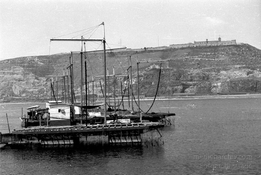 1955. Italien. Neapel. -  Italy. Naples -  Italia. Napoli
1955. Italien. Provinz Neapel. Region Kampanien. Neapel. -  Italy. Naples -  Italia. Campania. Napoli. Schiffe im Hafen. Mittelmeer
Schlüsselwörter: 1955;Campania;Hafen;Italia;Italien;Italy;Kampanien;Mittelmeer;Naples;Napoli;Neapel;Schiffe