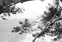 Dateiname=Italy-Neapel-1955-05-23.jpg
Dateigröße=232KB
Abmessungen: 880x595
hinzugefügt am: 05. Januar 2016 Italy-Neapel-1955-05-23.jpg