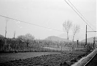 Italy-Neapel-1955-08-01.jpg
