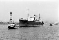 Italy-Neapel-1955-10-05.jpg