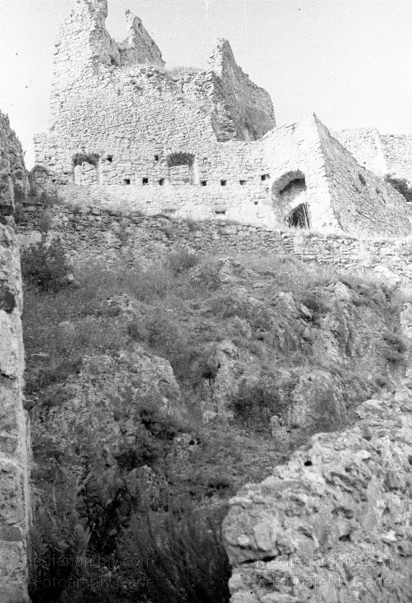 1955. Italien. Sizilien. Palermo
1955. Italien. Sizilien. Palermo
Schlüsselwörter: 1955;Italia;Italien;Italy;Palermo;Sizilien