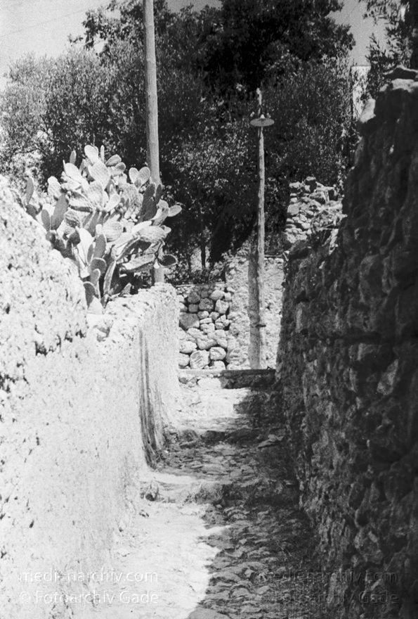 1955. Italien. Capri. Italienische Felseninsel im Golf von Neapel
1955. Italien. Capri. Italienische Felseninsel im Golf von Neapel - Italy - Italia. Isola di Capri
Schlüsselwörter: 1955;Campania;Capri;Golf von Neapel;Italia;Italien;Italy;Kampanien