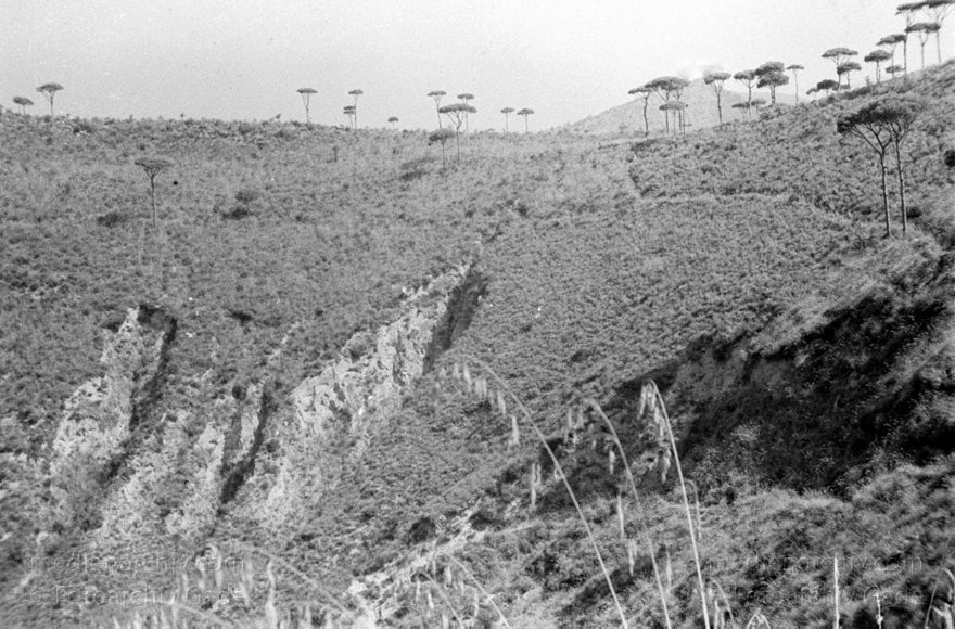1955. Italien. Provinz Neapel. Region Kampanien. Bacoli. Miseno
1955. Italien. Provinz Neapel. Region Kampanien. Bacoli. Miseno
Schlüsselwörter: 1955;Bacoli;Campania;Italia;Italien;Italy;Kampanien;Miseno;Naples;Napoli;Neapel