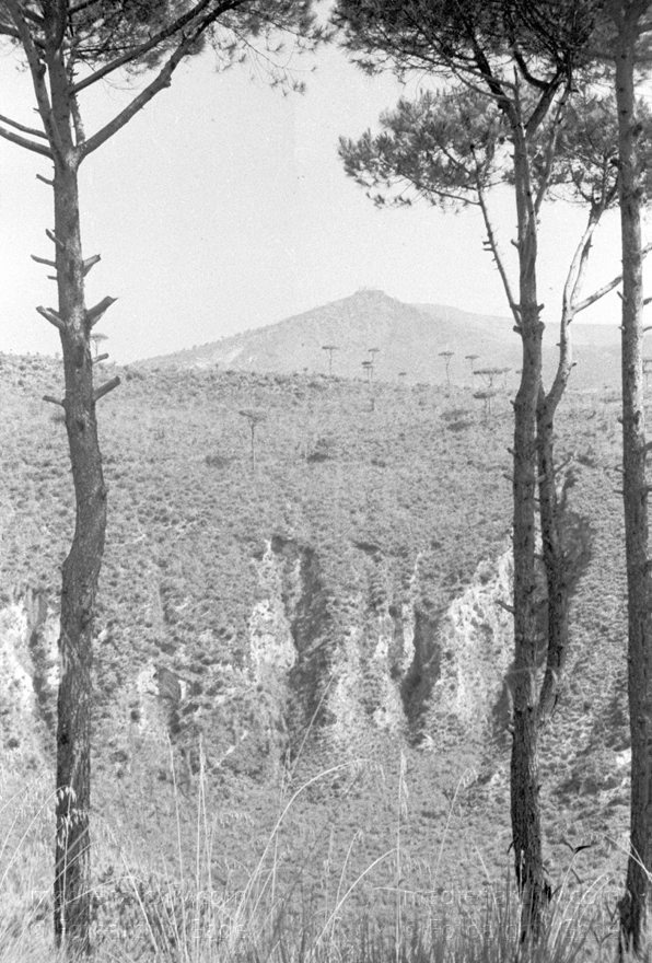 1955. Italien. Provinz Neapel. Region Kampanien. Bacoli. Miseno
1955. Italien. Provinz Neapel. Region Kampanien. Bacoli. Miseno
Schlüsselwörter: 1955;Bacoli;Campania;Italia;Italien;Italy;Kampanien;Miseno;Naples;Napoli;Neapel