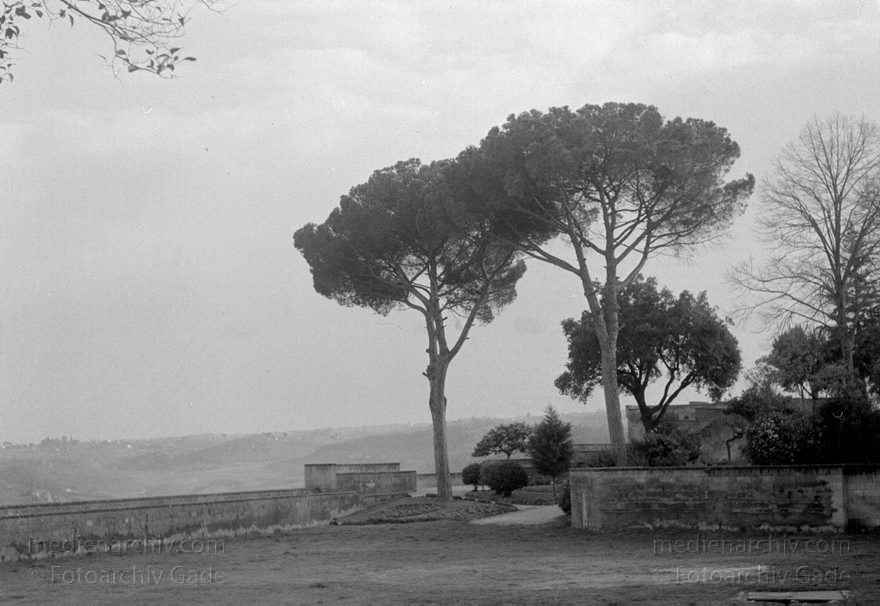 1950er. Italien. Provinz Terni. Region Umbrien. Orvieto
1950er. Italien. Provinz Terni. Region Umbrien. Orvieto. -  Italy. Perugia
Schlüsselwörter: 1950er;Italia;Italien;Italy;Orvieto;Umbrien