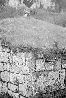 Italy-Orvieto-22.jpg