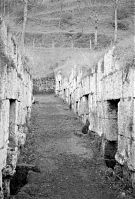Italy-Orvieto-24.jpg