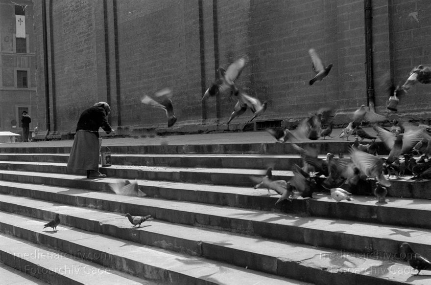 1950er. Italien. Provinz Perugia. Region Umbrien. Perugia
1950er. Italien. Provinz Perugia. Region Umbrien. Perugia. -  Italy. Perugia
Schlüsselwörter: 1950er;Italia;Italien;Italy;Perugia;Umbrien