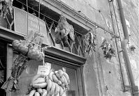Italy-Perugia-1950er-29.jpg