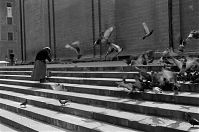 Italy-Perugia-1950er-65.jpg