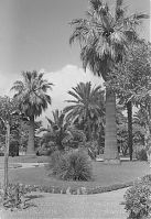 Italy-Rapallo-1930-05-53.jpg