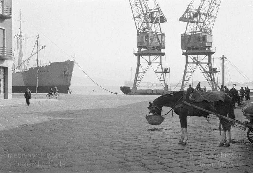 um 1950.  Italien. Sizilien. Im Hafen. Schiff. Pferdekarren
um 1950. Italien. Sizilien. Messina. Im Hafen. Schiffe. Mittelmeer. Kran. Pferd mit Futter
Schlüsselwörter: 1950;1950er;Hafen;Italia;Italien;Italy;Messina;Pferdekarren;Schiffe;Sicilia;Sicily;Sizilien